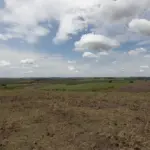 Fevereiro registra seca mais branda em quatro regiões do Brasil