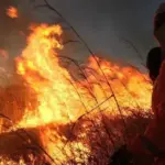 Brigadas comunitárias abrem 180 vagas no Nordeste goiano
