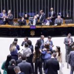 Câmara aprova suspensão da carteira de motorista por abandono de animal